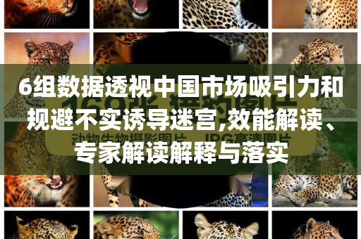 6組數(shù)據(jù)透視中國市場吸引力和規(guī)避不實誘導迷宮,效能解讀、專家解讀解釋與落實
