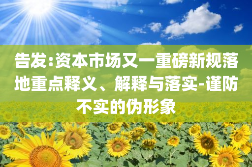 告發(fā):資本市場(chǎng)又一重磅新規(guī)落地重點(diǎn)釋義、解釋與落實(shí)-謹(jǐn)防不實(shí)的偽形象
