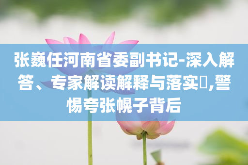 張巍任河南省委副書記-深入解答、專家解讀解釋與落實?,警惕夸張幌子背后