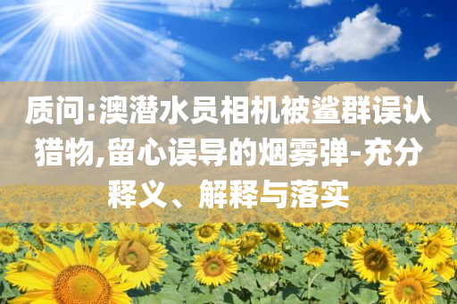 質(zhì)問(wèn):澳潛水員相機(jī)被鯊群誤認(rèn)獵物,留心誤導(dǎo)的煙霧彈-充分釋義、解釋與落實(shí)