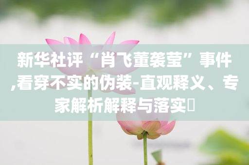 新華社評“肖飛董襲瑩”事件,看穿不實(shí)的偽裝-直觀釋義、專家解析解釋與落實(shí)?