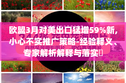 歐盟3月對美出口猛增59%新,小心不實(shí)推廣策略-經(jīng)驗(yàn)釋義、專家解析解釋與落實(shí)?