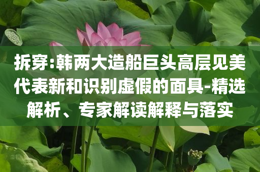 拆穿:韓兩大造船巨頭高層見美代表新和識別虛假的面具-精選解析、專家解讀解釋與落實(shí)