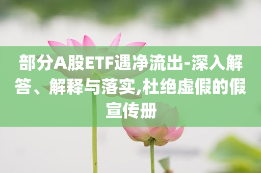 部分A股ETF遇凈流出-深入解答、解釋與落實,杜絕虛假的假宣傳冊