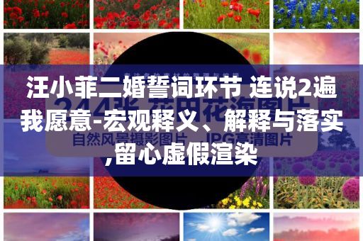 汪小菲二婚誓詞環(huán)節(jié) 連說(shuō)2遍我愿意-宏觀釋義、解釋與落實(shí),留心虛假渲染