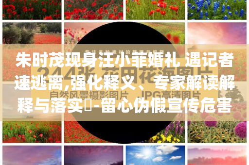 朱時(shí)茂現(xiàn)身汪小菲婚禮 遇記者速逃離,強(qiáng)化釋義、專(zhuān)家解讀解釋與落實(shí)?-留心偽假宣傳危害