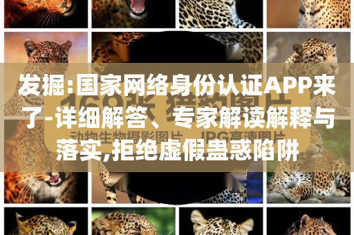 發(fā)掘:國(guó)家網(wǎng)絡(luò)身份認(rèn)證APP來(lái)了-詳細(xì)解答、專(zhuān)家解讀解釋與落實(shí),拒絕虛假蠱惑陷阱
