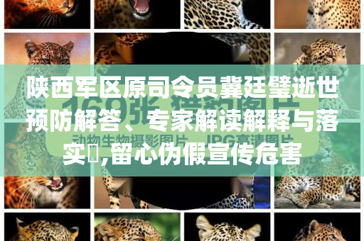 陜西軍區(qū)原司令員冀廷璧逝世預(yù)防解答、專(zhuān)家解讀解釋與落實(shí)?,留心偽假宣傳危害