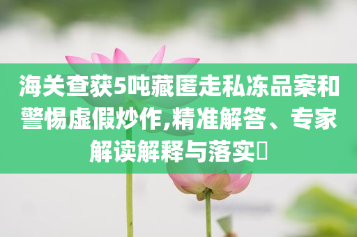 海關(guān)查獲5噸藏匿走私凍品案和警惕虛假炒作,精準解答、專家解讀解釋與落實?