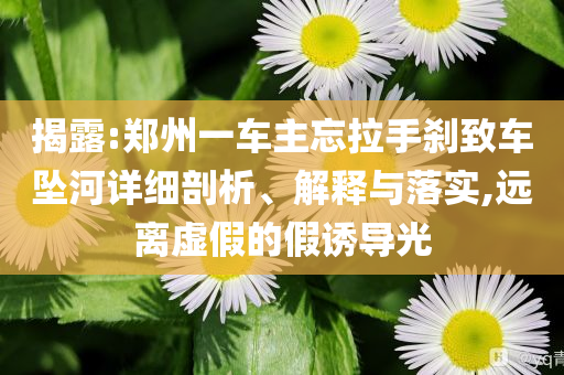 揭露:鄭州一車主忘拉手剎致車墜河詳細剖析、解釋與落實,遠離虛假的假誘導(dǎo)光