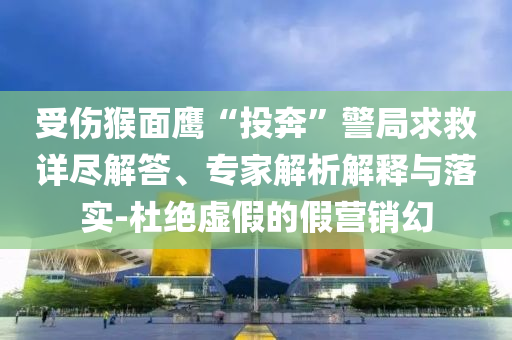 受傷猴面鷹“投奔”警局求救詳盡解答、專家解析解釋與落實-杜絕虛假的假營銷幻