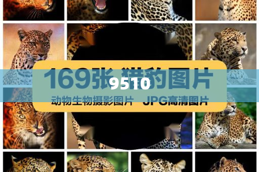 A股天價離婚女方分走近3億,充分釋義、解釋與落實-識別虛假的面具