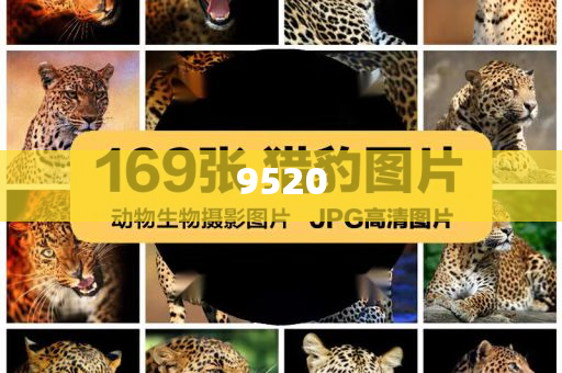 第二屆中俄經(jīng)貿(mào)合作會召開,留心欺詐套路-充分釋義、專家解析解釋與落實?