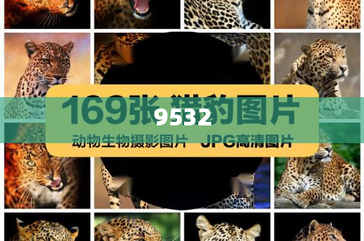 揭開:2025澳門掛牌正版掛牌完整和新奧2025資料大全最新版本和謹(jǐn)防虛假包裝-深入解答、專家解析解釋與落實(shí)?