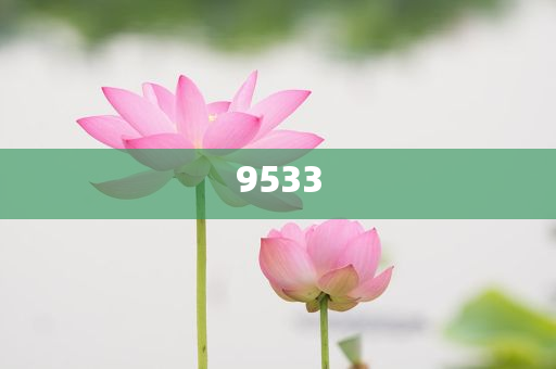 新澳門期期準(zhǔn)免費(fèi)-精準(zhǔn)解讀、解釋與落實(shí),杜絕虛假的假宣傳風(fēng)