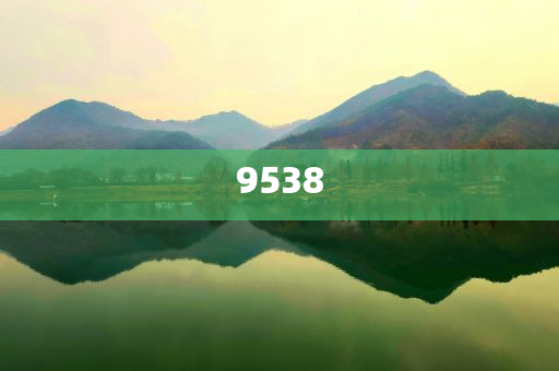 新澳2025年天天開(kāi)好彩大樂(lè)透-風(fēng)控剖析、專(zhuān)家解析解釋與落實(shí),杜絕虛假的假承諾環(huán)