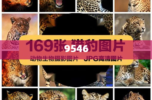 血鉛異常患兒初判中毒3個月以上,優(yōu)化解答、解釋與落實-防范虛假誘惑鉤