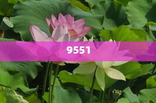發(fā)掘:天津市曲藝團(tuán)發(fā)文悼念楊少華-科技釋義、解釋與落實(shí),拒絕誤導(dǎo)的圈套
