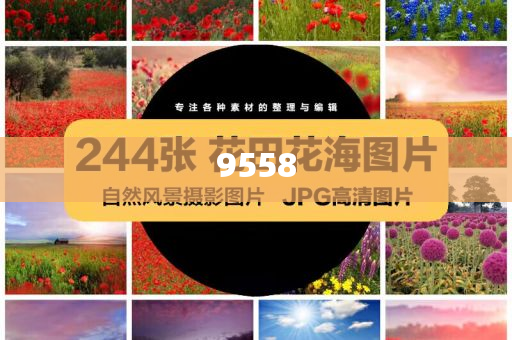 賣玉米阿姨回應(yīng)跳海救女大學(xué)生和提防虛假造勢-保障分析、專家解析解釋與落實(shí)