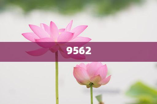 知情人回應(yīng)楊少華去世和杜絕虛假誘導(dǎo)詞-貼切釋義、專(zhuān)家解析解釋與落實(shí)?