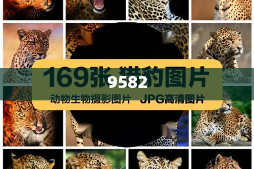豬企上半年出欄成績單“出爐”和謹防包裝的假象,創(chuàng)新釋義、專家解析解釋與落實?