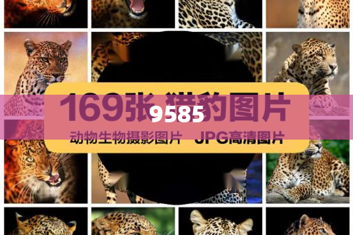 英偉達成首家市值超4萬億美元公司-根源解答、解釋與落實,防范不實的假營銷