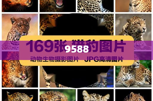 河南10歲姑娘把暑假過成了編籃副本,杜絕虛假的假營銷幻-效果解讀、專家解讀解釋與落實