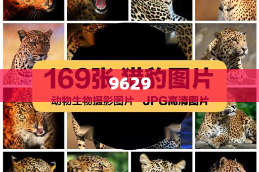 書卷一夢全員神助攻:科技釋義、專家解讀解釋與落實(shí)?,拒絕不實(shí)的假營銷套