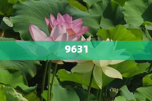 李佳薇回應(yīng)網(wǎng)友挑戰(zhàn)別再叫我動態(tài)解答、解釋與落實(shí)-留心欺騙承諾危害